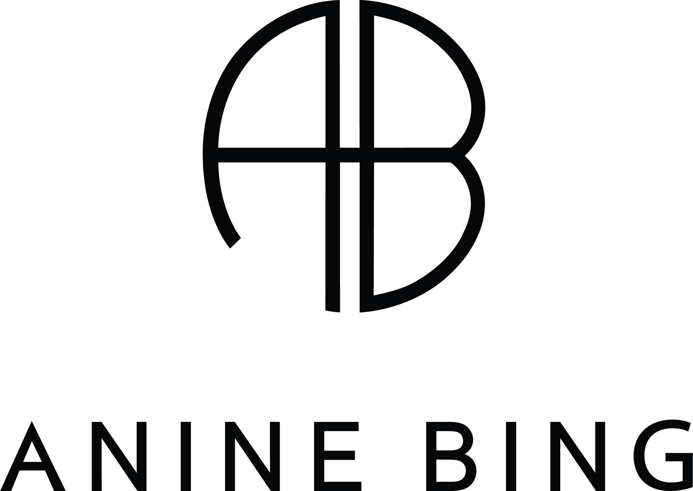 Anine Bing logo